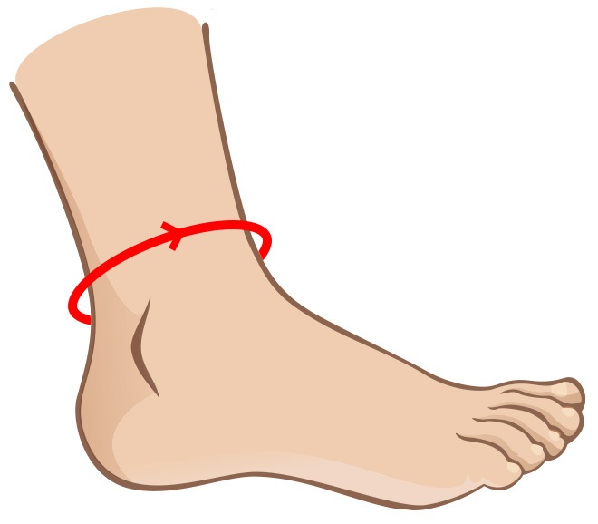 How to measure your ankle circumference